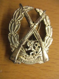 Kiv&auml;&auml;riammuntamerkki II lk , For fosterlandet  , Is&auml;nmaan puolesta . Hakaskiinnitys . 1920- luku .